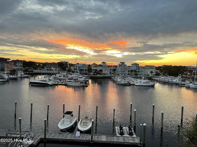 water view featuring a dock