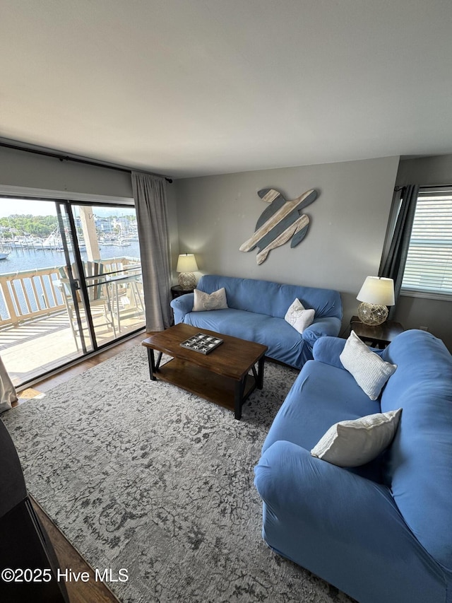 living area with healthy amount of natural light and a water view
