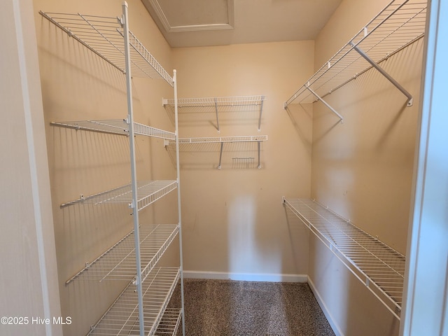 108 Hill Farm Dr, Richlands, NC 28574 - walk in closet with carpet floors