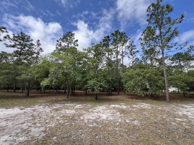 6449 Castlebrook Way SW Unit 6, Ocean Isle Beach, NC 28469