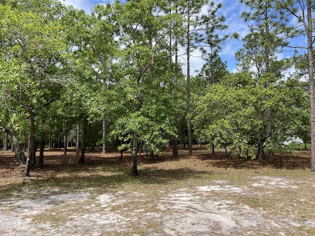 6449 Castlebrook Way SW Unit 6, Ocean Isle Beach, NC 28469