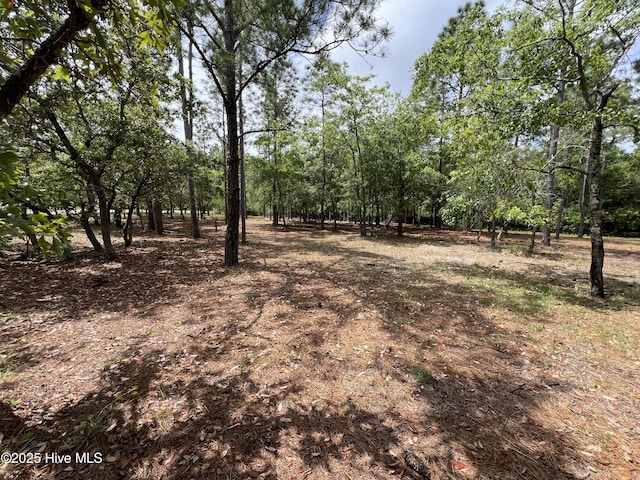 6449 Castlebrook Way SW Unit 6, Ocean Isle Beach, NC 28469