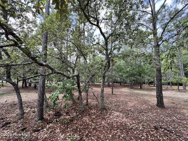 6449 Castlebrook Way SW Unit 6, Ocean Isle Beach, NC 28469