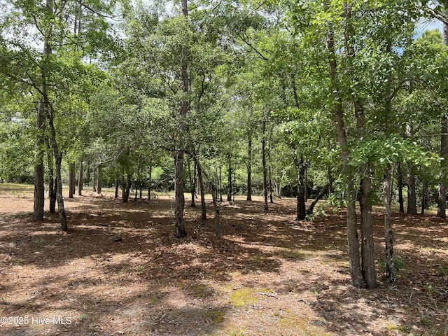 6449 Castlebrook Way SW Unit 6, Ocean Isle Beach, NC 28469