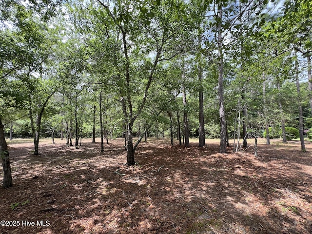 6449 Castlebrook Way SW Unit 6, Ocean Isle Beach, NC 28469