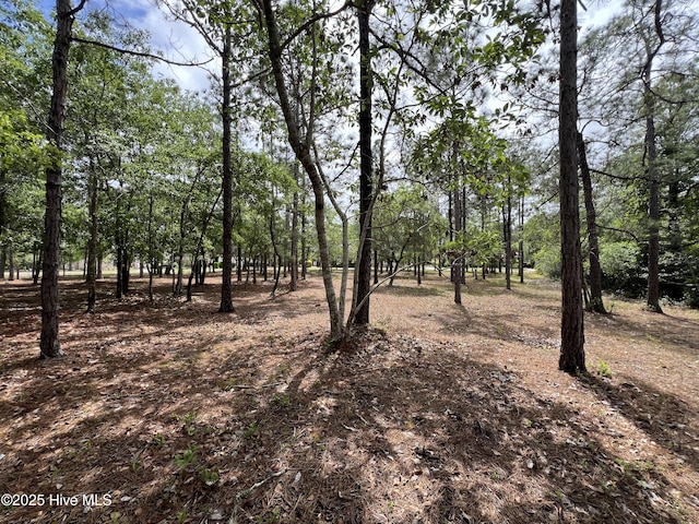 6449 Castlebrook Way SW Unit 6, Ocean Isle Beach, NC 28469