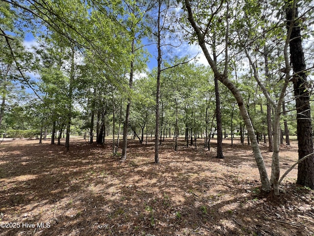 6449 Castlebrook Way SW Unit 6, Ocean Isle Beach, NC 28469
