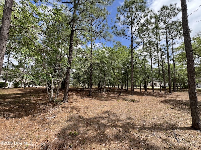 6449 Castlebrook Way SW Unit 6, Ocean Isle Beach, NC 28469