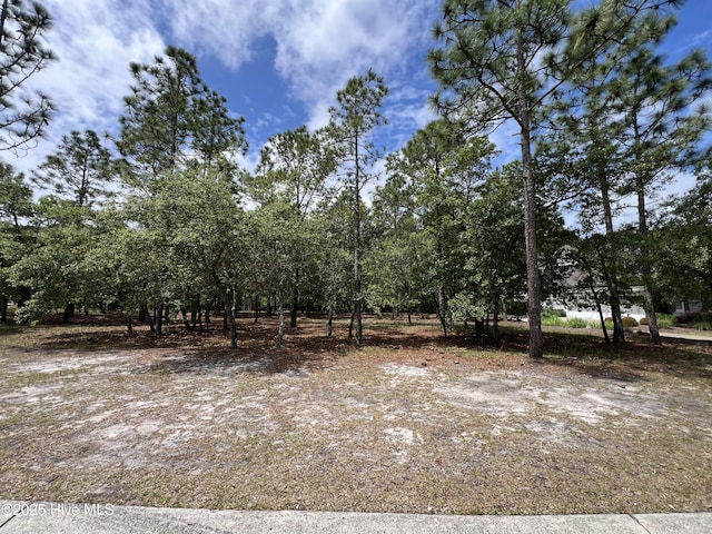 6449 Castlebrook Way SW Unit 6, Ocean Isle Beach, NC 28469