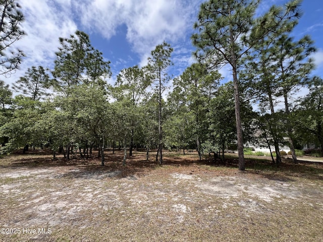 6449 Castlebrook Way SW Unit 6, Ocean Isle Beach, NC 28469