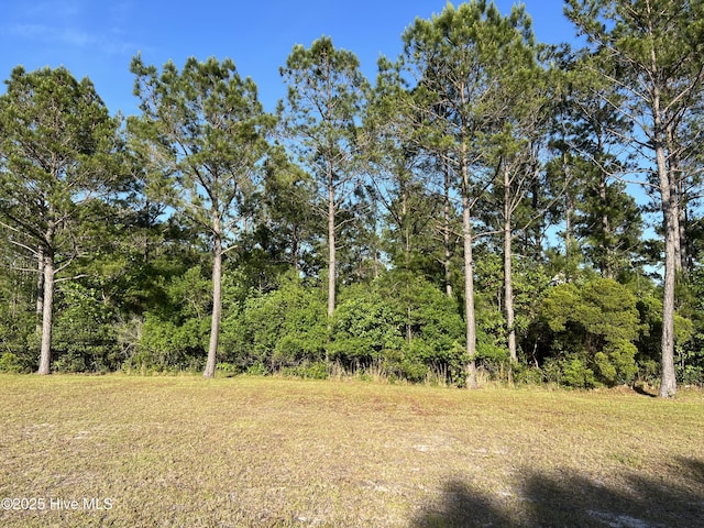 6360 Blenhiem Pl SW Unit 11, Ocean Isle Beach, NC 28469