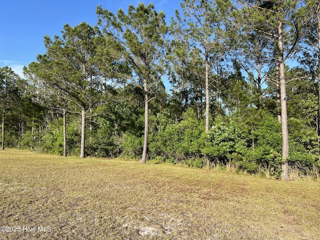 6360 Blenhiem Pl SW Unit 11, Ocean Isle Beach, NC 28469