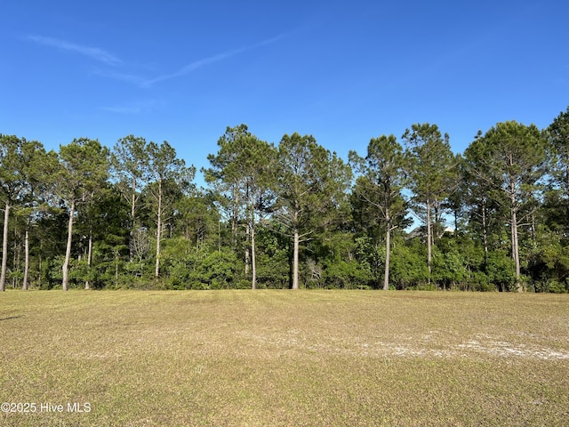 6360 Blenhiem Pl SW Unit 11, Ocean Isle Beach, NC 28469