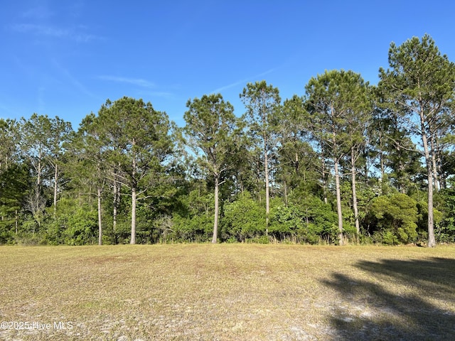 6360 Blenhiem Pl SW Unit 11, Ocean Isle Beach, NC 28469