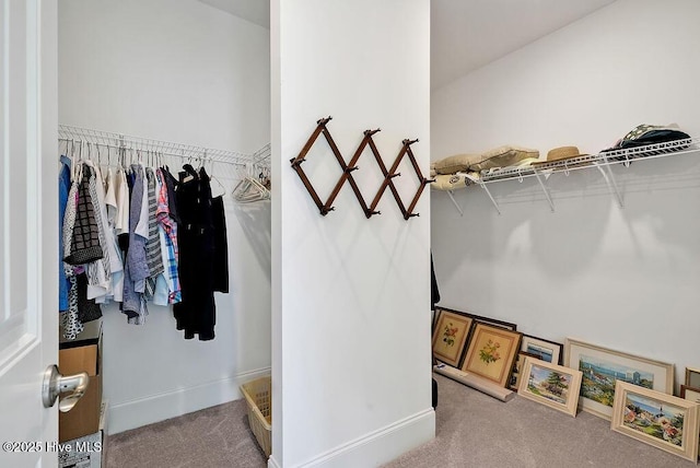 walk in closet with carpet floors