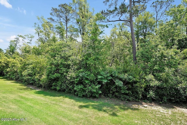 view of green lawn