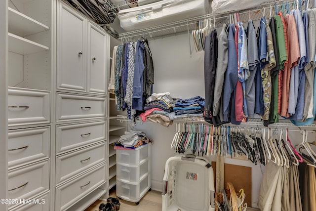 view of walk in closet