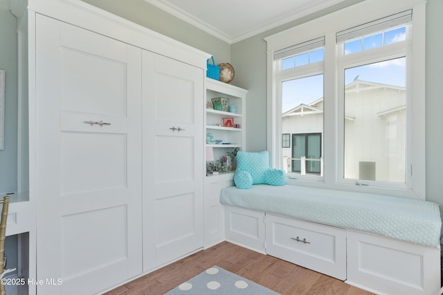 26 Seagull St Unit B, Wrightsville Beach, NC 28480 - mudroom with crown molding and light wood-type flooring