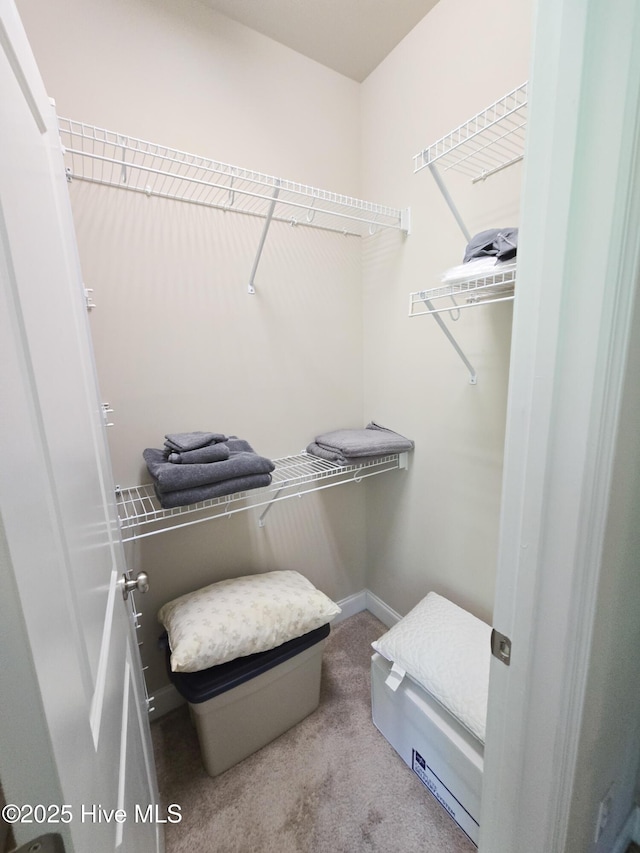 spacious closet with carpet flooring