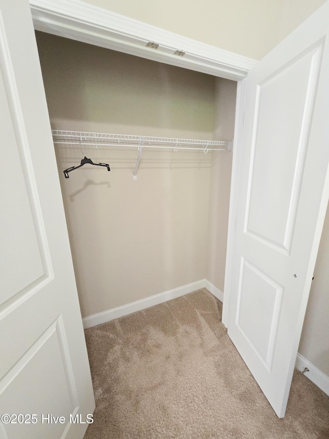view of closet