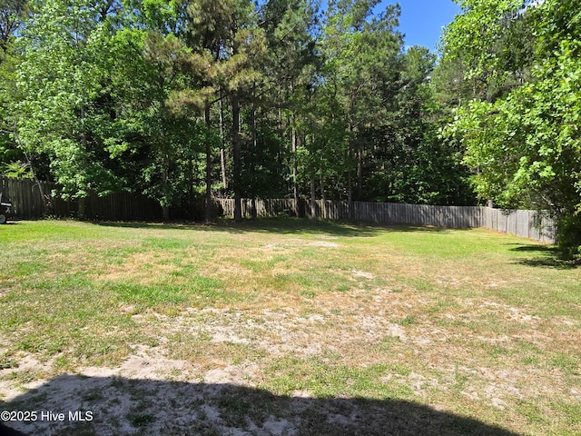 view of yard featuring a fenced backyard