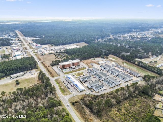 326 Starfish Ln, Sneads Ferry, NC 28460 - birds eye view of property