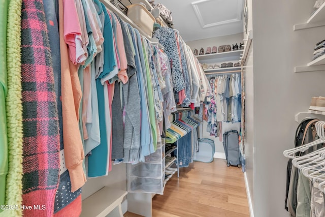 515 Blue Heron Dr, Newport, NC 28570 - walk in closet featuring attic access and wood finished floors
