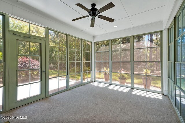 2225 Umstead Ln, Leland, NC 28451 - unfurnished sunroom featuring a ceiling fan