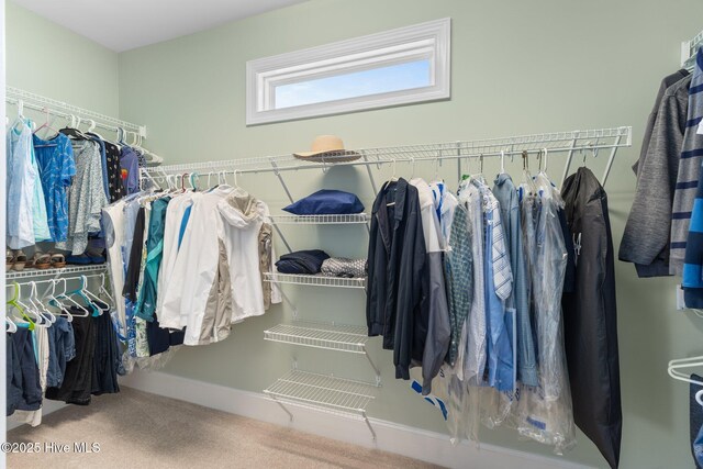spacious closet with carpet