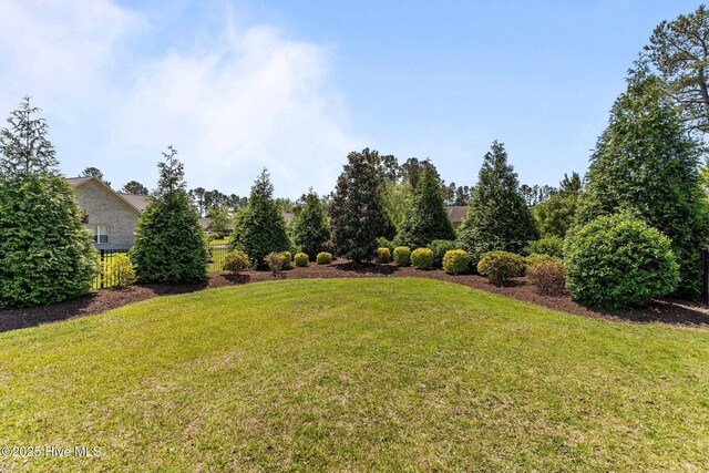 view of grassy yard