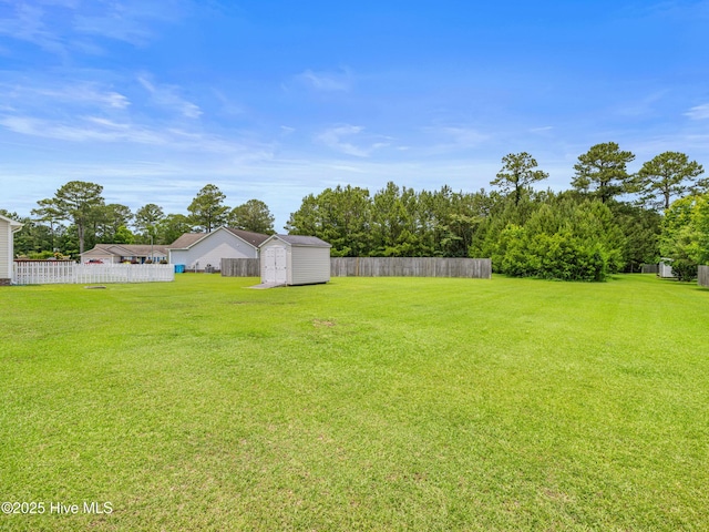 102 Flat Rock Ln, Richlands, NC 28574 - view of yard