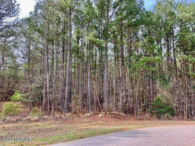 141 N State Ln, Rockingham, NC 28379