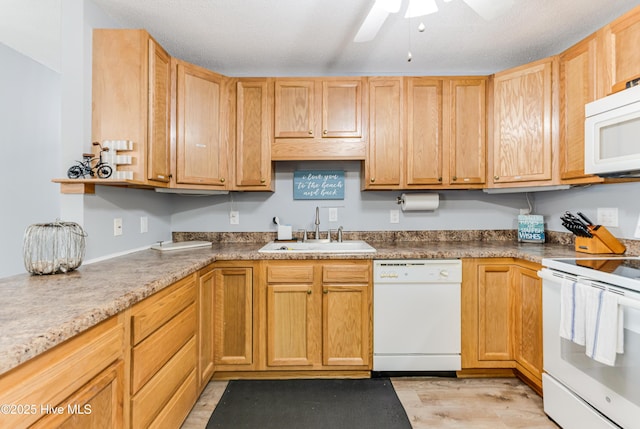 kitchen with white appliances, a sink, a ceiling fan, and light wood finished floors