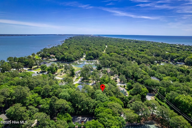 103 Arborvitae Ct, Pine Knoll Shores, NC 28512 - view of property location with a heavily wooded area and a nearby body of water