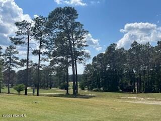 view of home's community with a lawn
