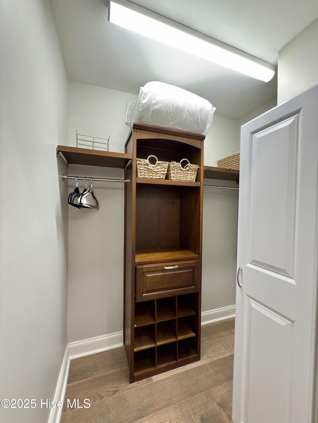 spacious closet featuring wood finished floors