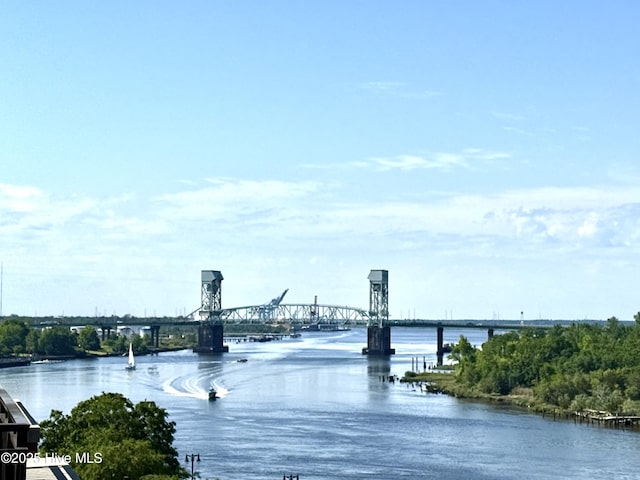 property view of water