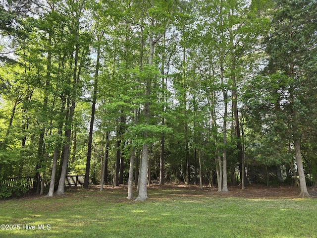 219 Drake Lndg, New Bern, NC 28560 - view of yard with fence