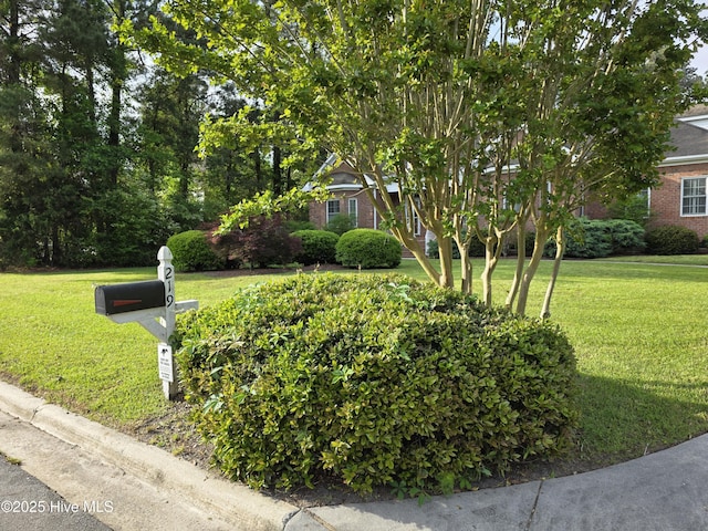 219 Drake Lndg, New Bern, NC 28560 - exterior space