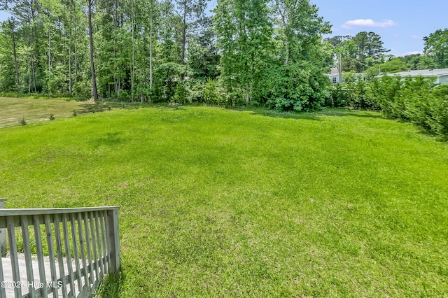 1406 Silverbrook Rd, Oriental, NC 28571 - view of green lawn