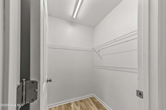 1406 Silverbrook Rd, Oriental, NC 28571 - spacious closet featuring light wood-type flooring