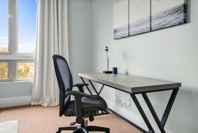 home office with carpet