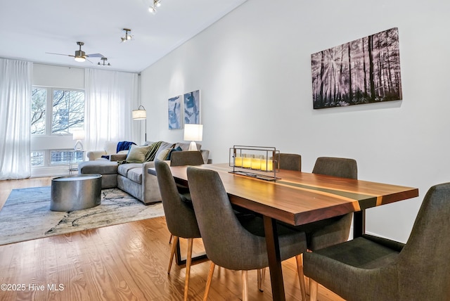 dining area featuring wood finished floors, ceiling fan, and track lighting