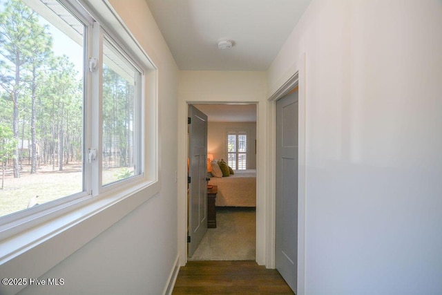 hall featuring baseboards and dark wood-type flooring