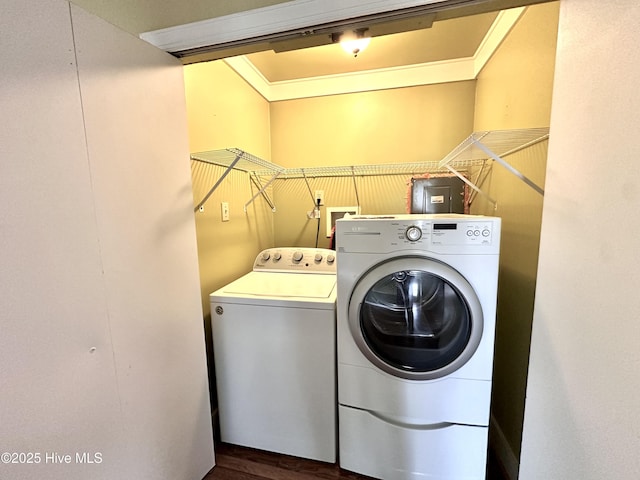 706 E Country Club Dr, Tarboro, NC 27886 - laundry room with independent washer and dryer, crown molding, dark wood-style floors, and laundry area