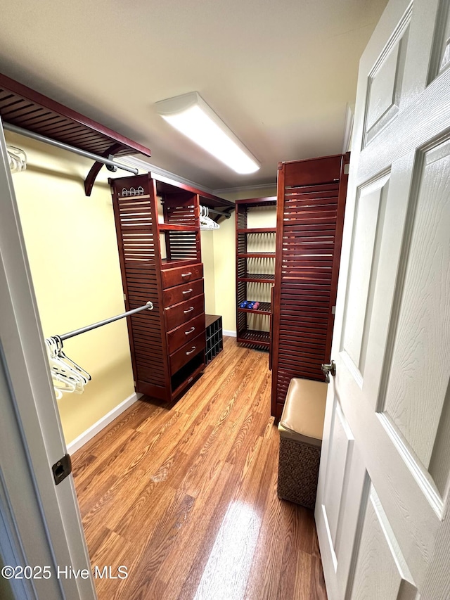 706 E Country Club Dr, Tarboro, NC 27886 - walk in closet with wood finished floors