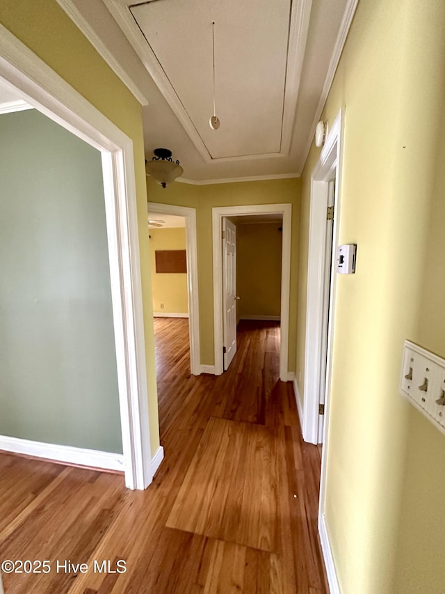 706 E Country Club Dr, Tarboro, NC 27886 - hall featuring attic access, light wood-style floors, baseboards, and crown molding