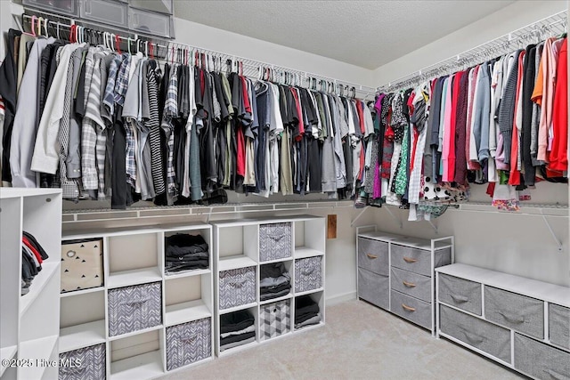 4 Brunswick Ln, Pinehurst, NC 28374 - walk in closet with carpet flooring