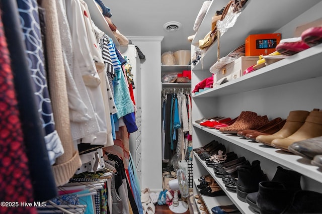 104 N Reed Dr, Washington, NC 27889 - view of walk in closet