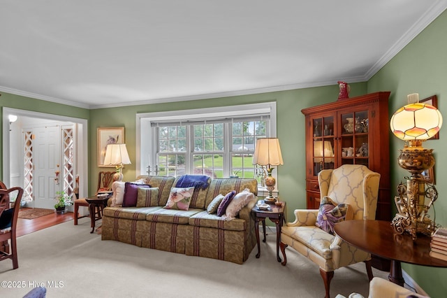104 N Reed Dr, Washington, NC 27889 - living room featuring ornamental molding and carpet floors